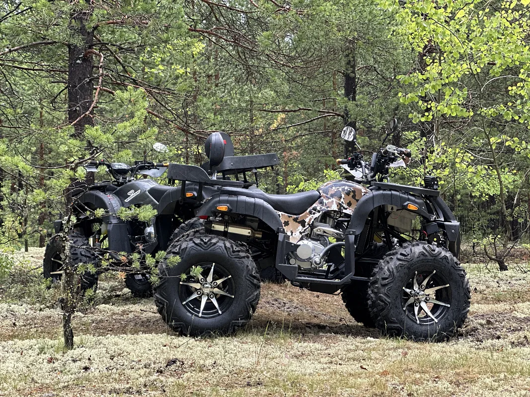 PROMAX 320 DOMINATOR PRO (2025)